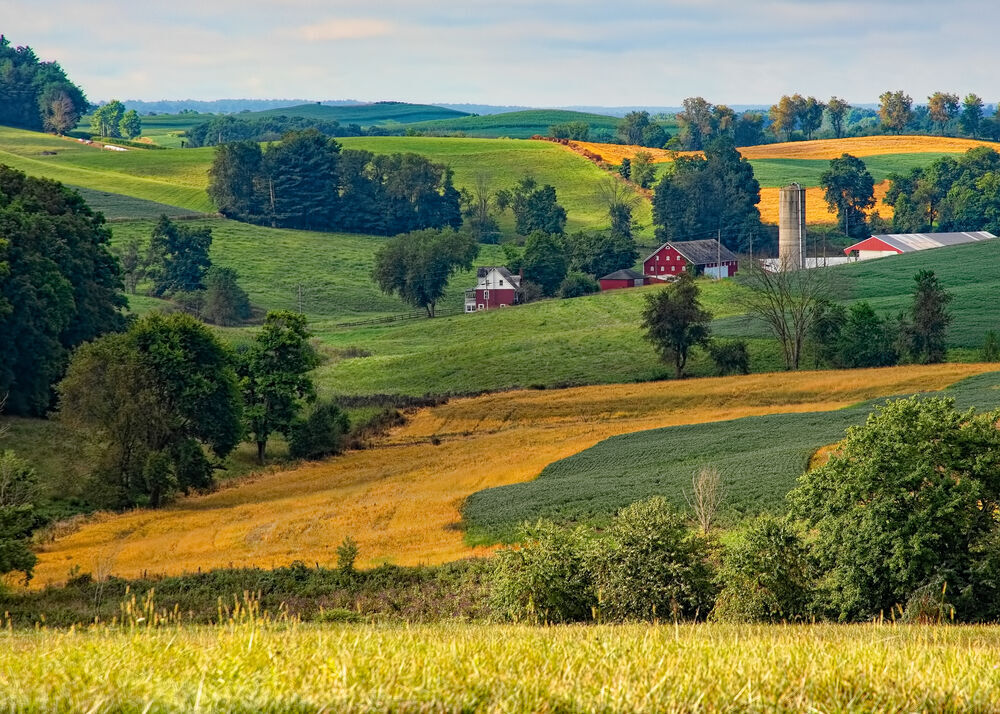 15. Ohio